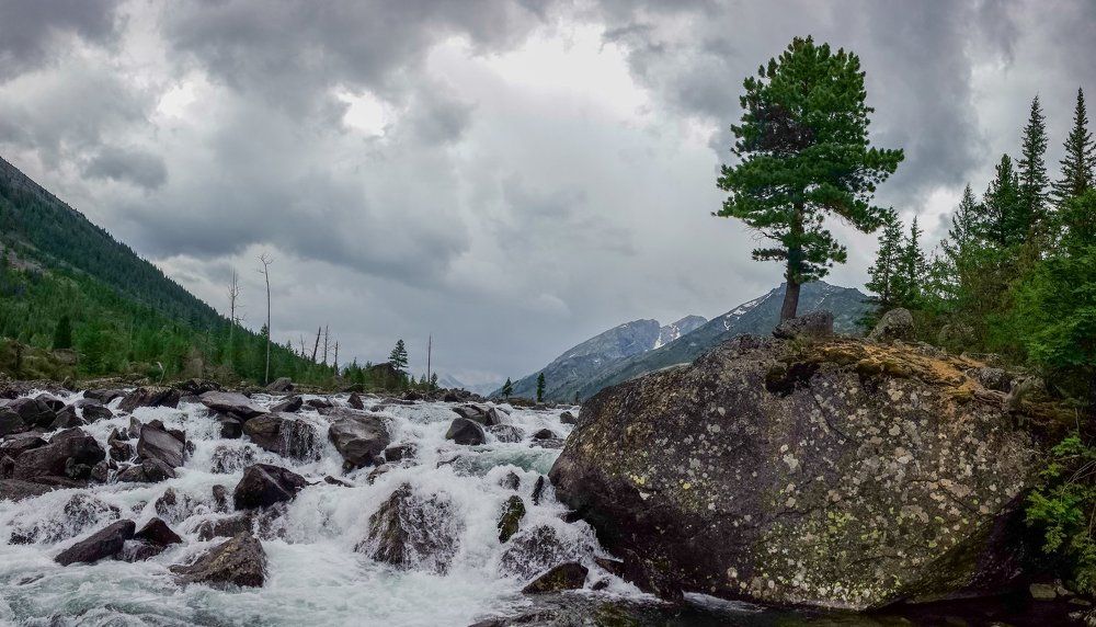 Сквозь камни