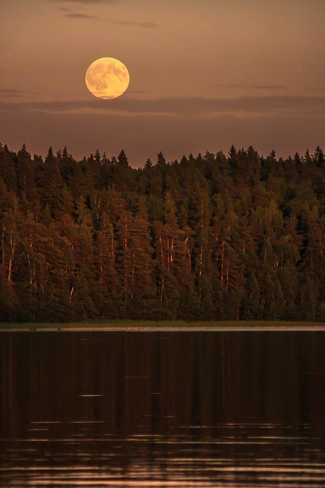 Photograph by Cath. B.