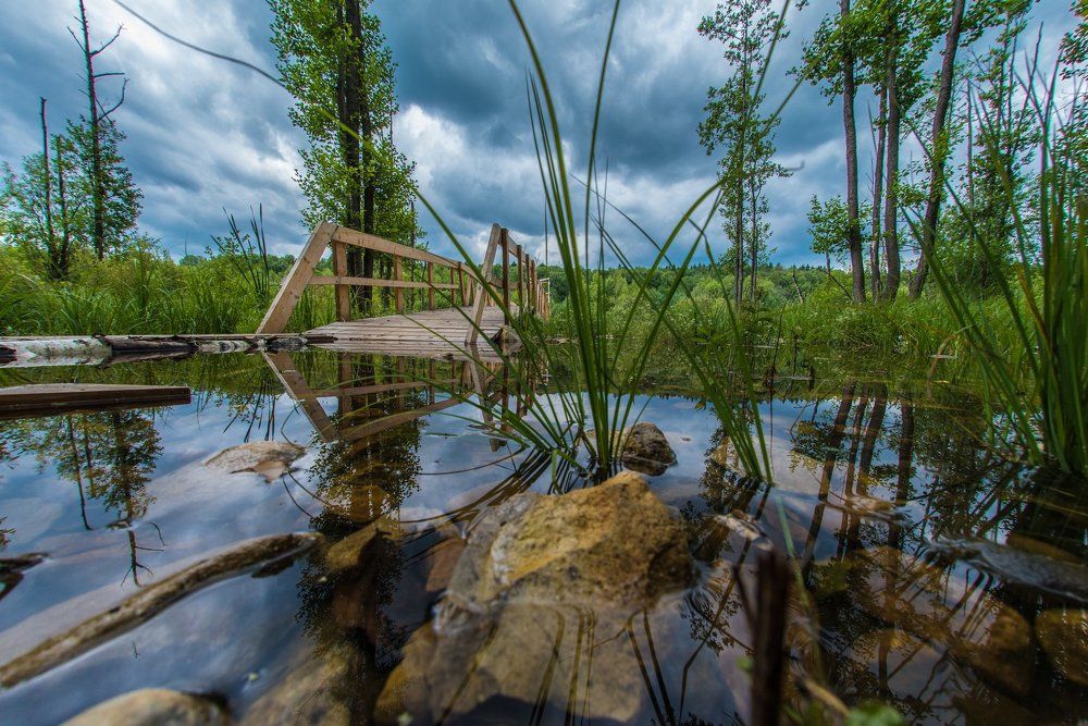 Photograph by Vitaly  Podgurchenko