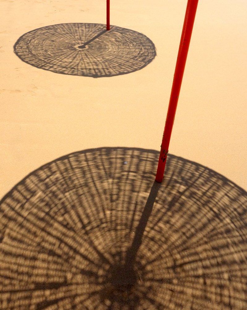 Photograph by Степанов Евгений