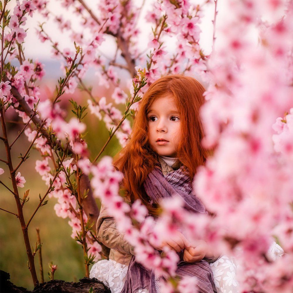 Персиковые сны