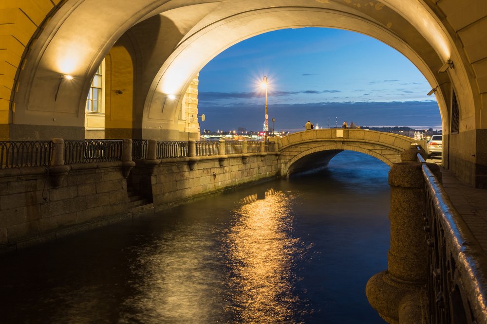 Ночной музыкант