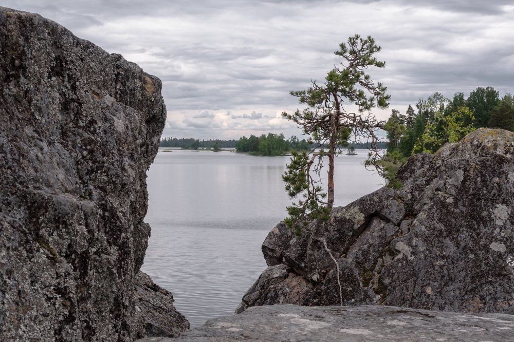 Короткое суровое северо-западное лето