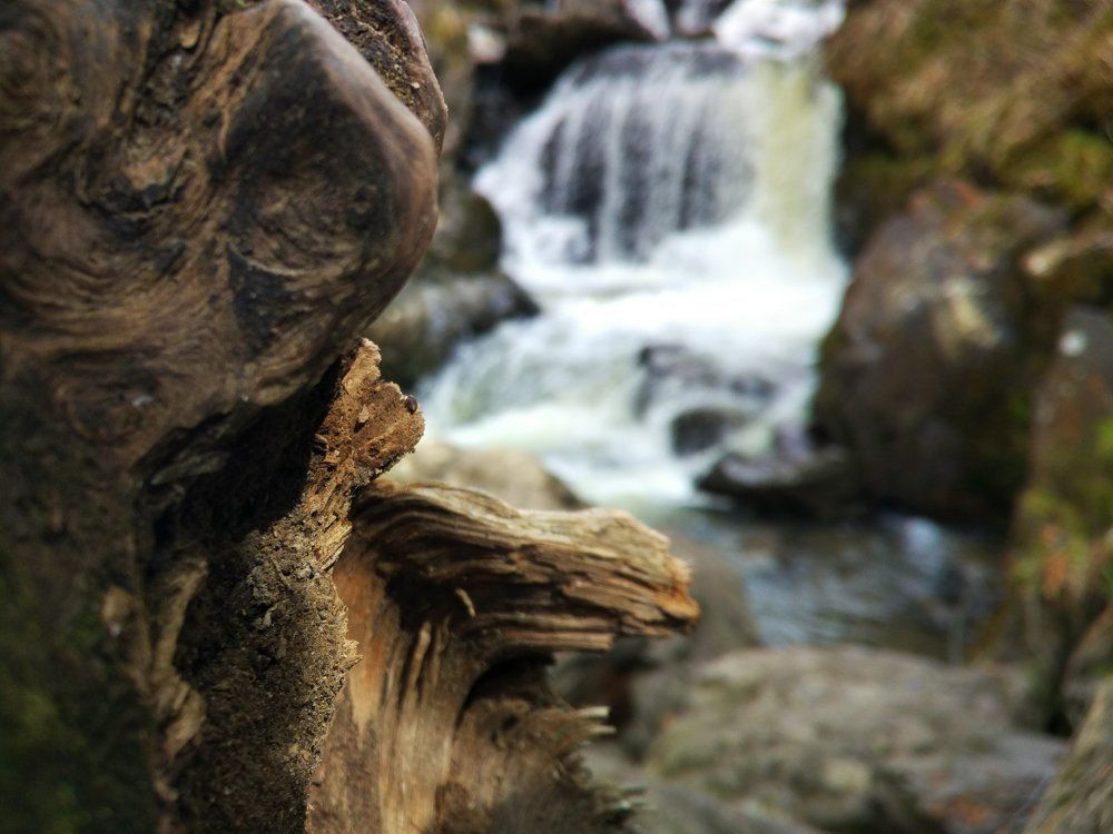 Photograph by георгий