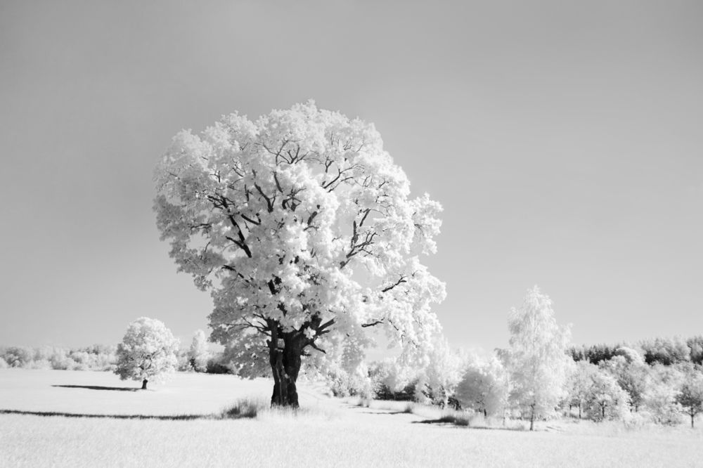 Особое место