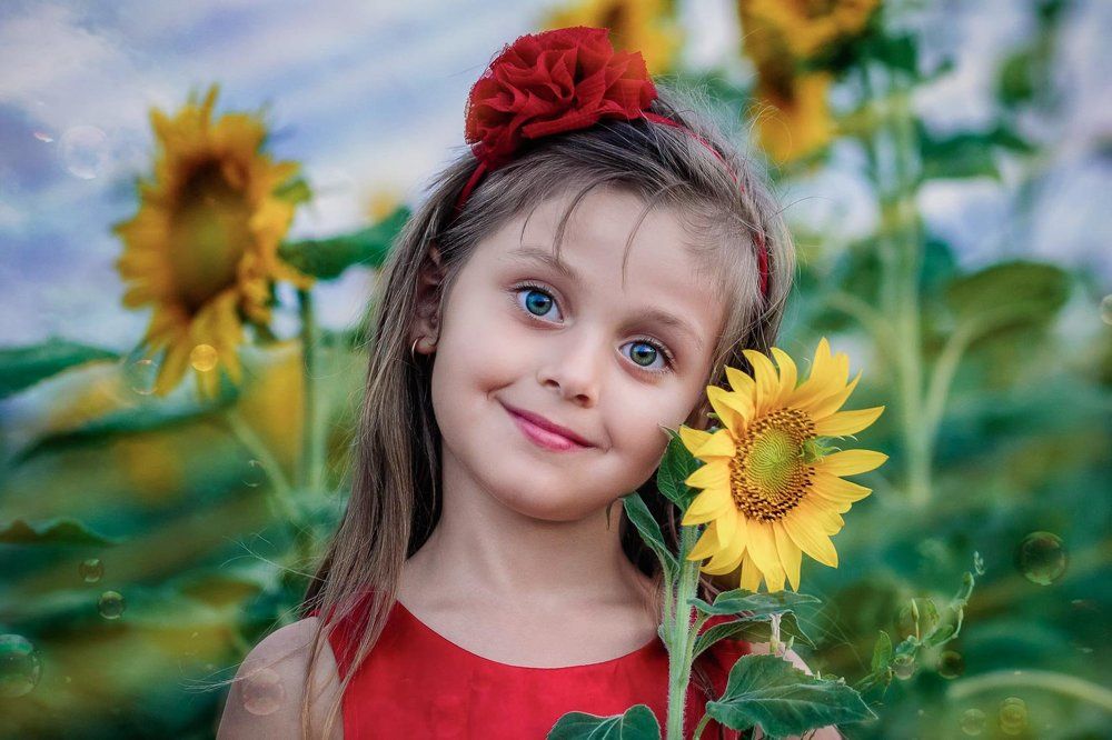 A Girl & The Sunflowers