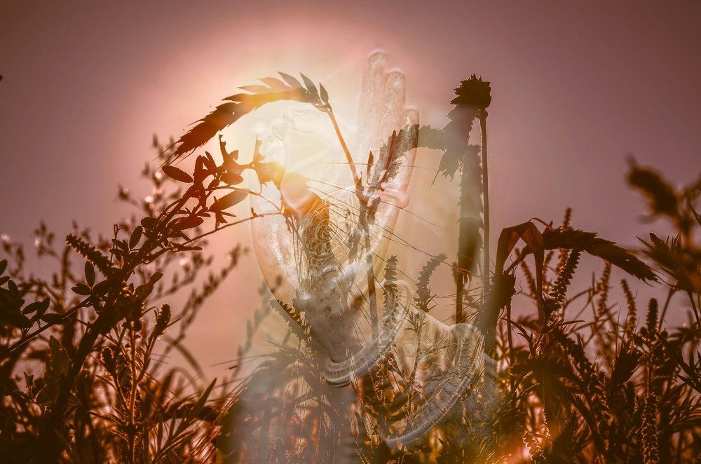 Аспект трансцендентности