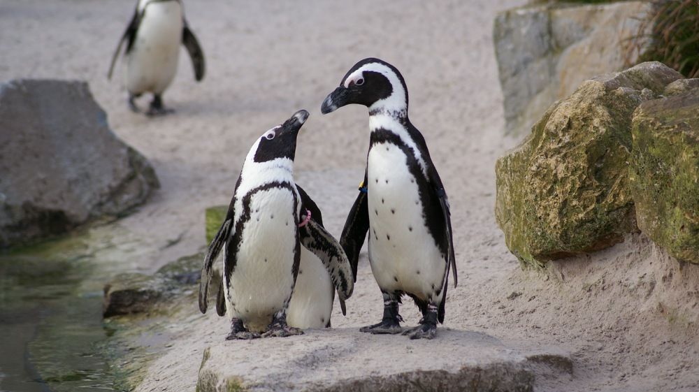 Love is found anywhere