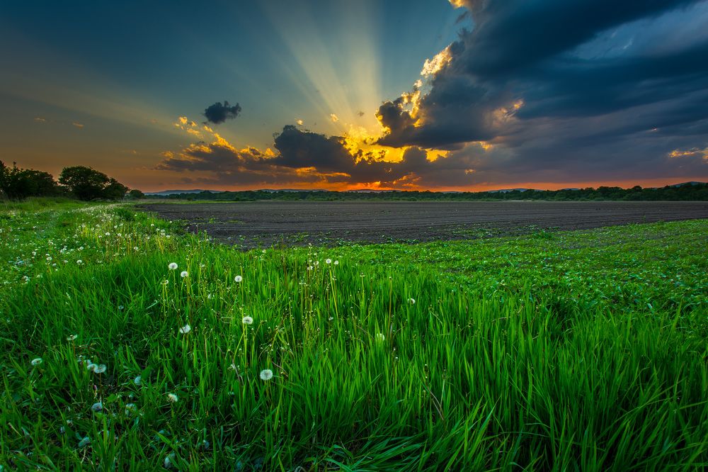 Photograph by Дмитрий Шовтюк