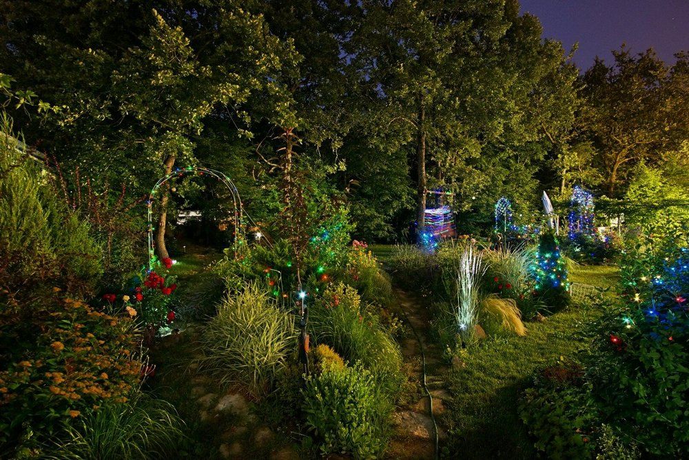 Ночная сказка