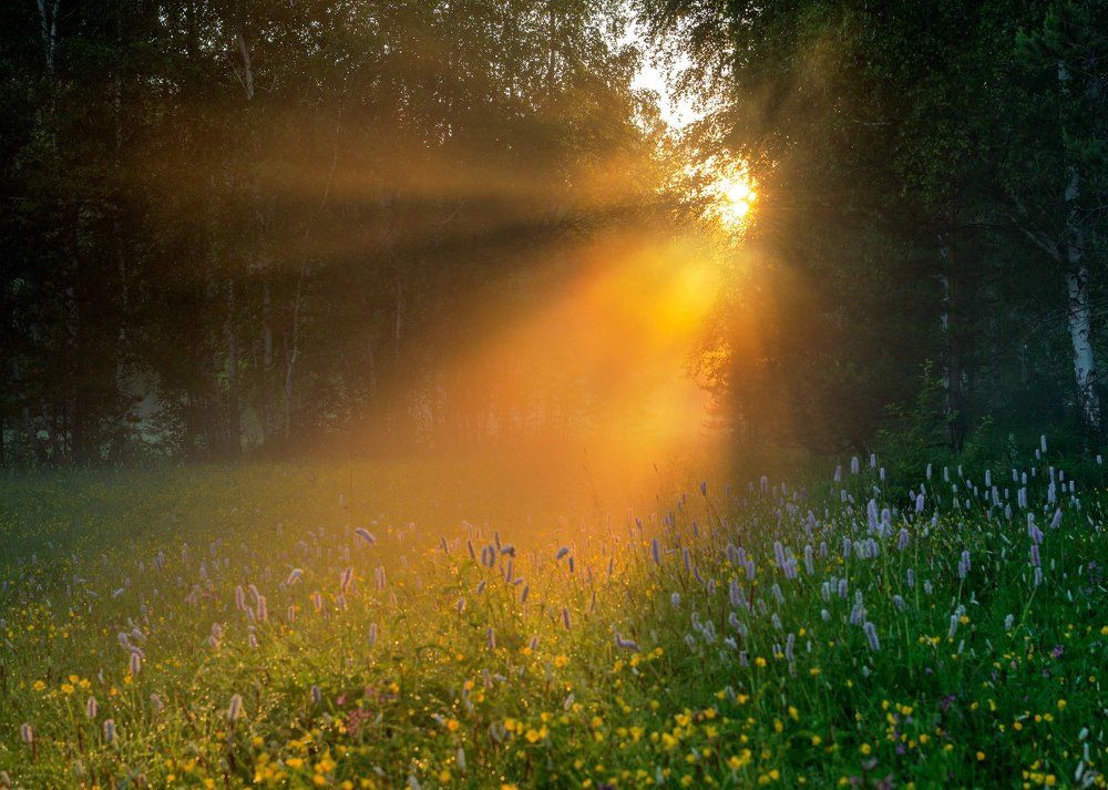 ПОСЛЕ ДОЖДЯ