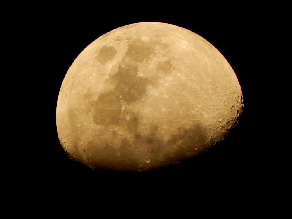 Moon Light