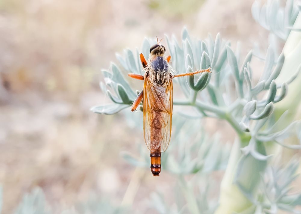 Photograph by Дмитрий Батагов