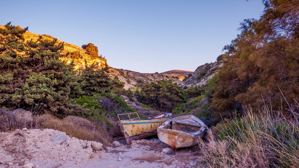 Photograph by Svetlana