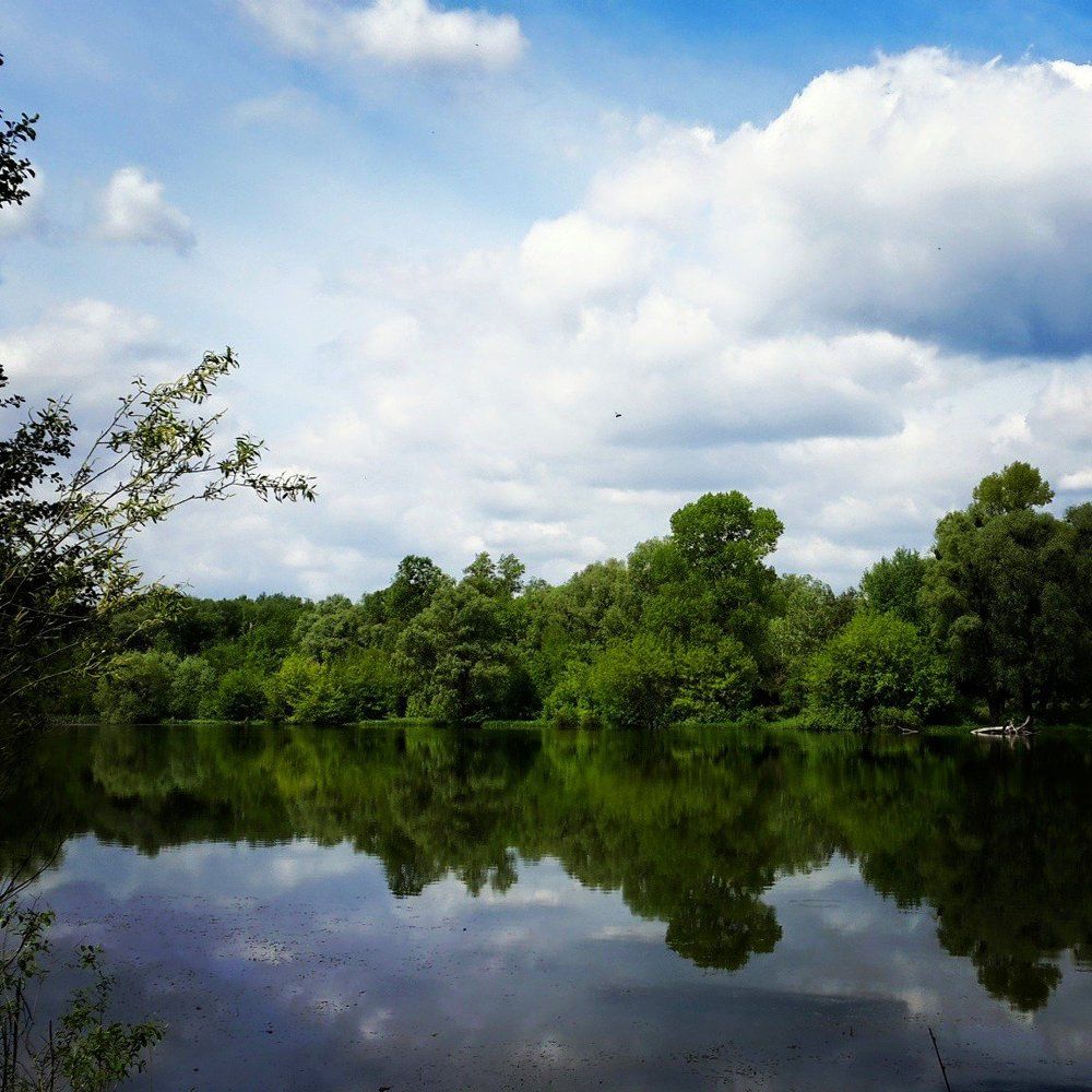Reflection
