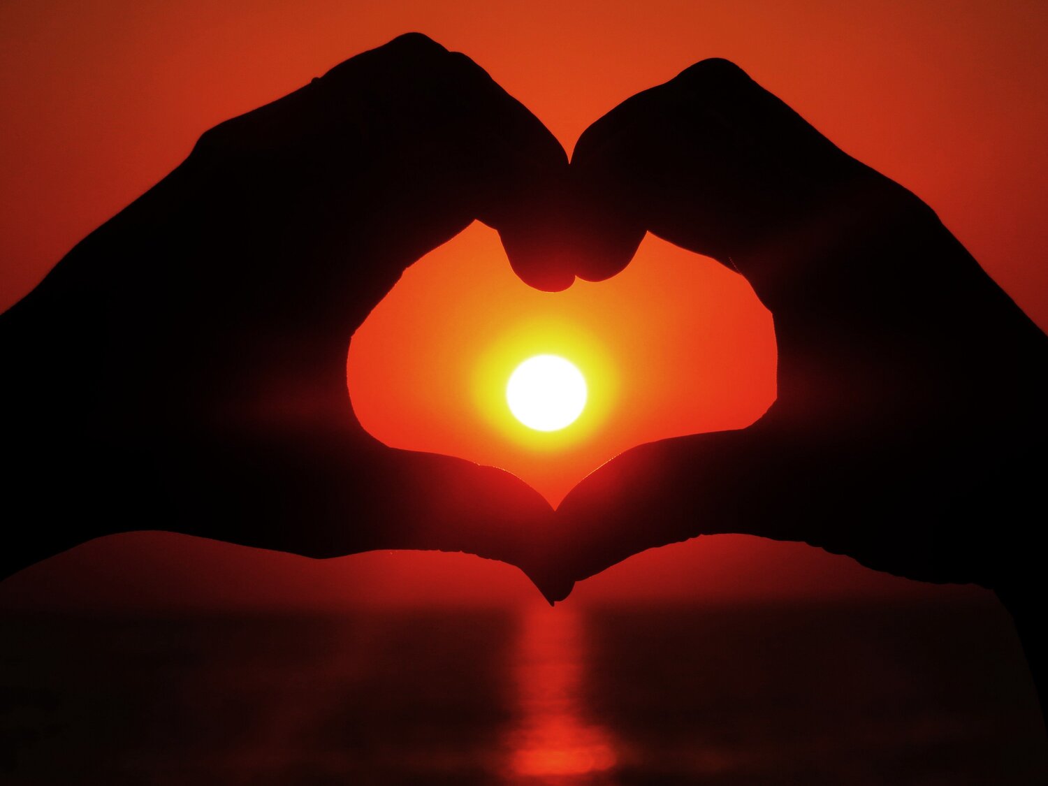 Who Loves The Sun