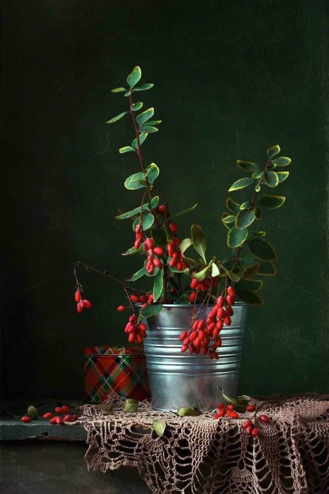 Photograph by Курочкина Диана