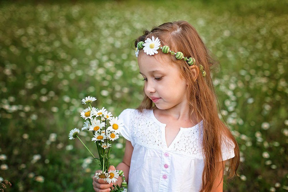 Ромашковое поле