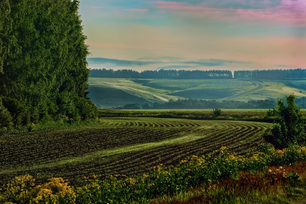 Княгининский Крым