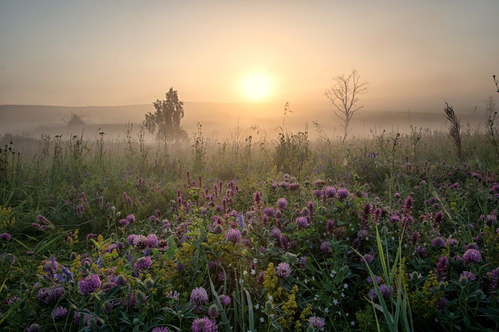 Photograph by Филякин Константин Владимирович
