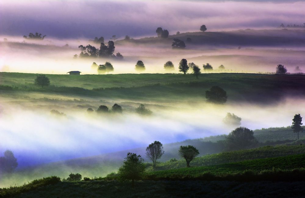 Misty Morning
