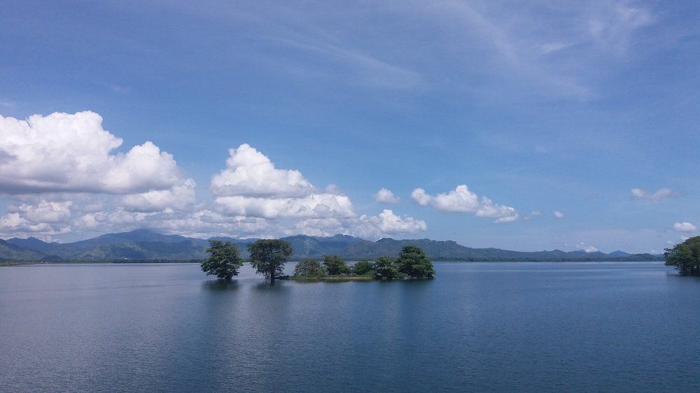 Photo #1857121