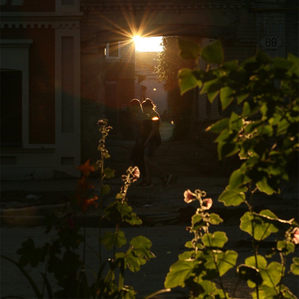 Городские цветы