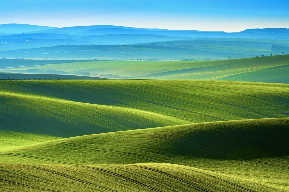 Холмы Моравии.