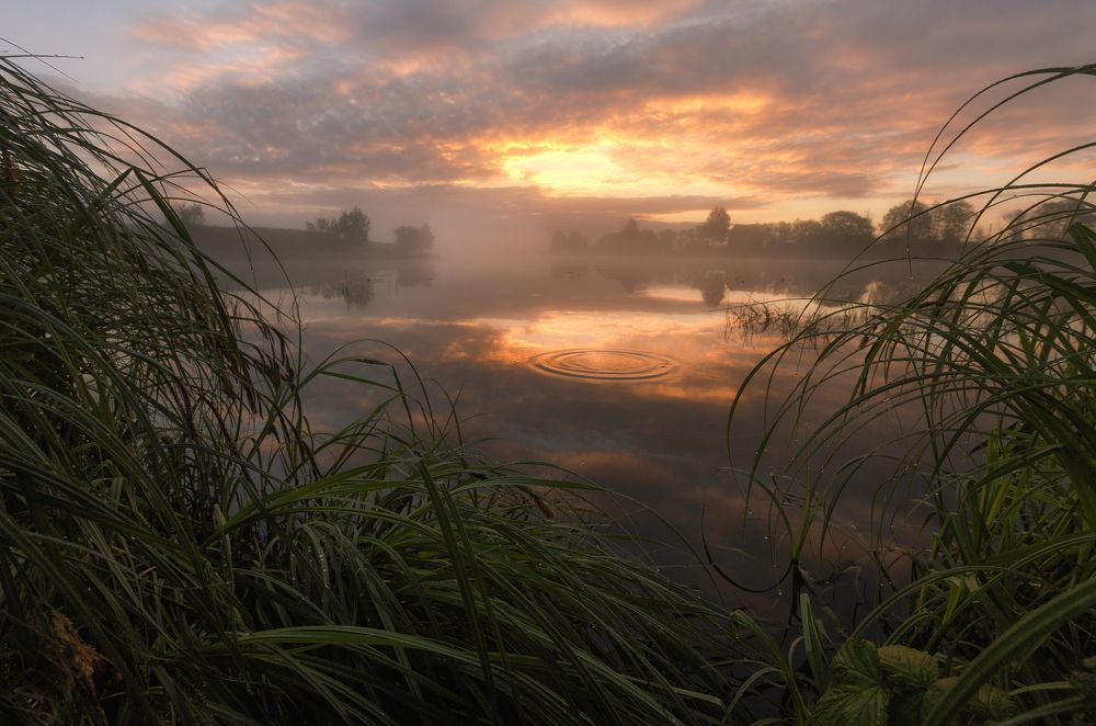 Прекрасное утро.