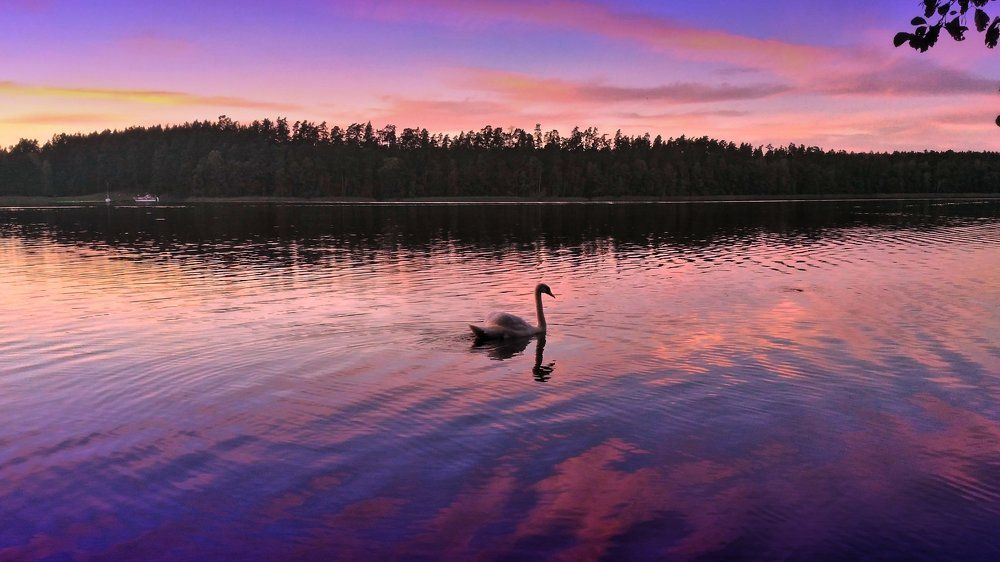 Предзакатный час на Мазурах.