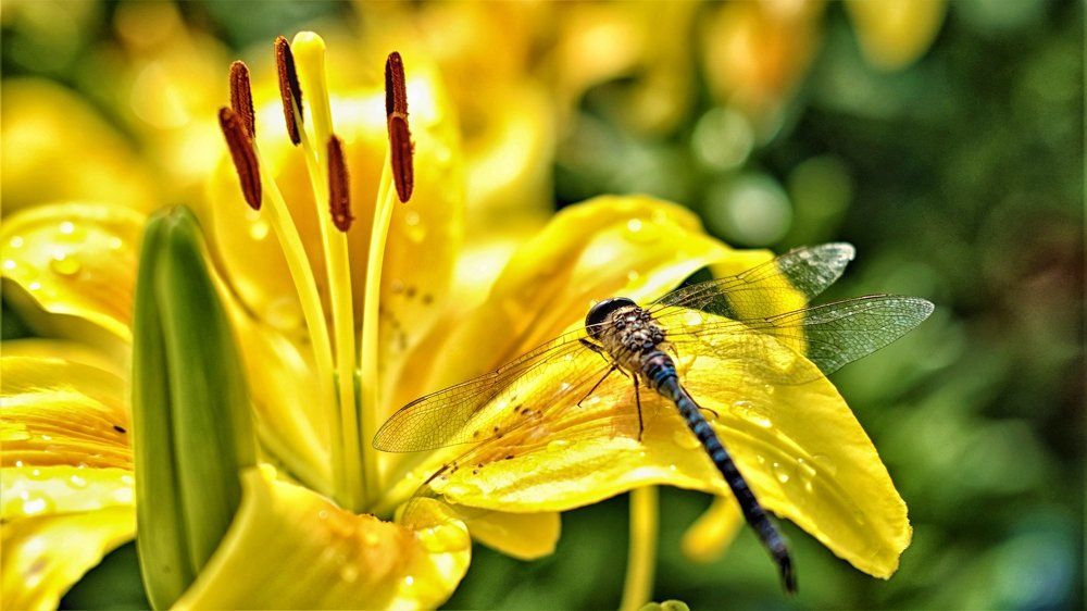 после дождя