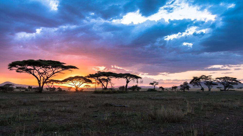 Breathtaking Serengeti.