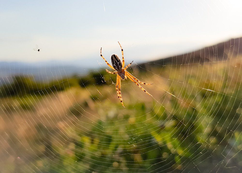 Photograph by Дмитрий Батагов