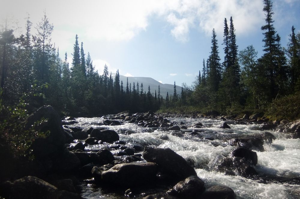 Утро в горах