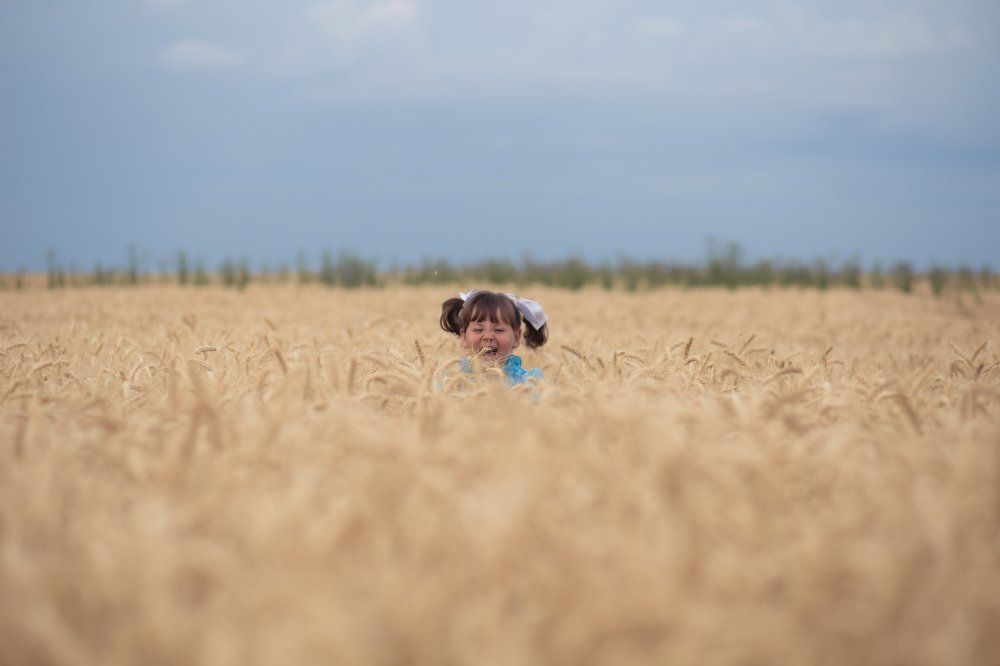 веселые бантики