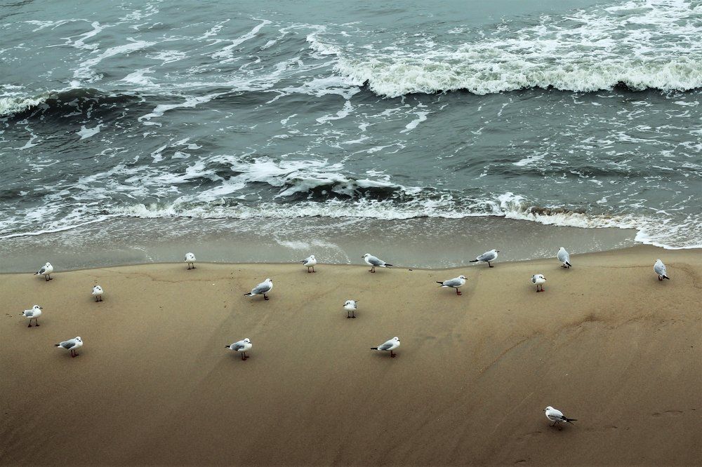 Photograph by Оксана