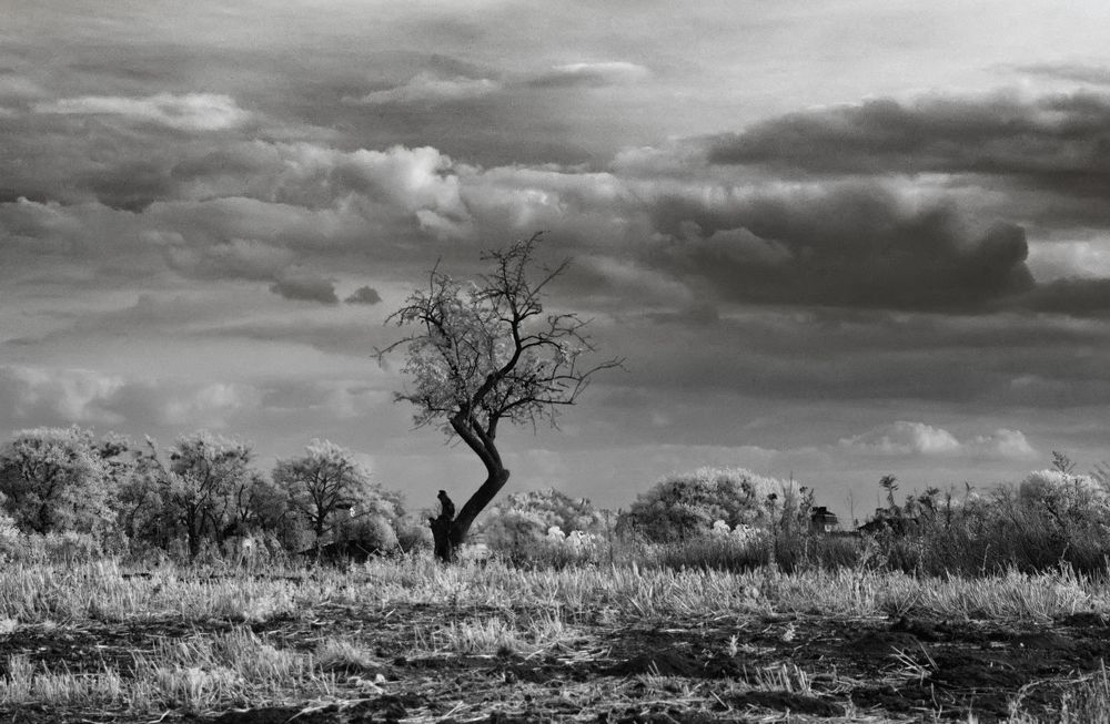 Одиночество