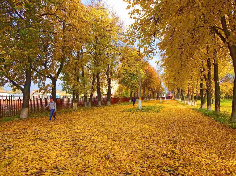 Октябрь в подмосковном городе Раменское