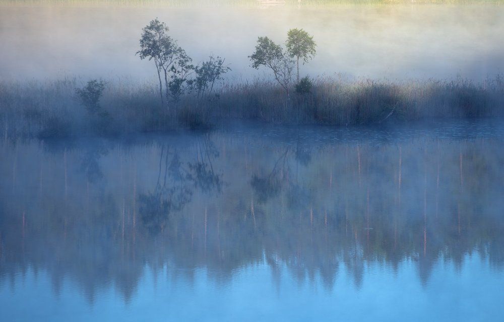 В тумане Светлого озера