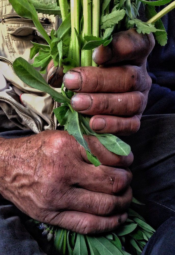 Папины руки