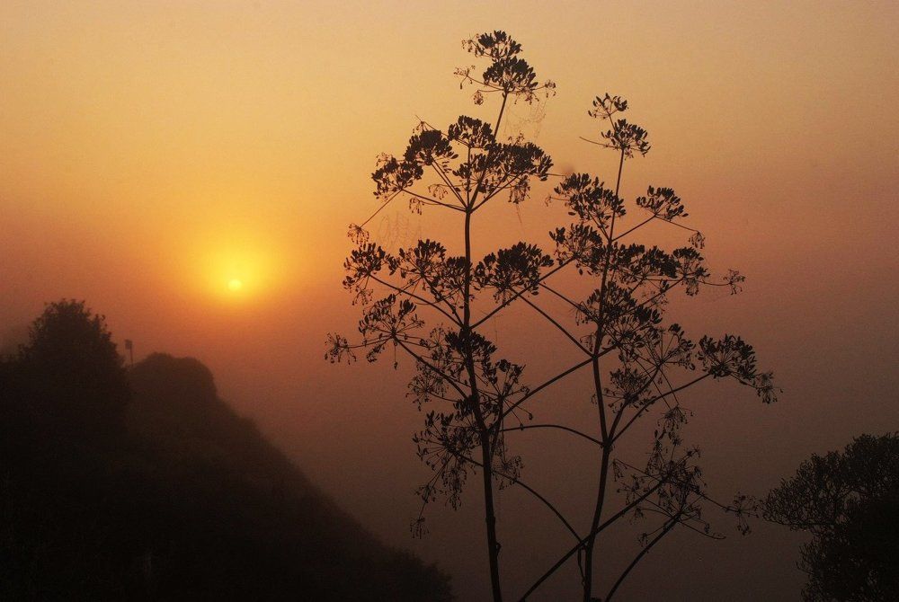 Там за туманами ...