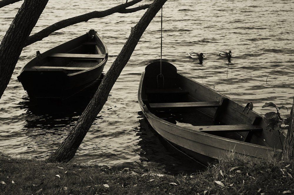 Photograph by Оксана
