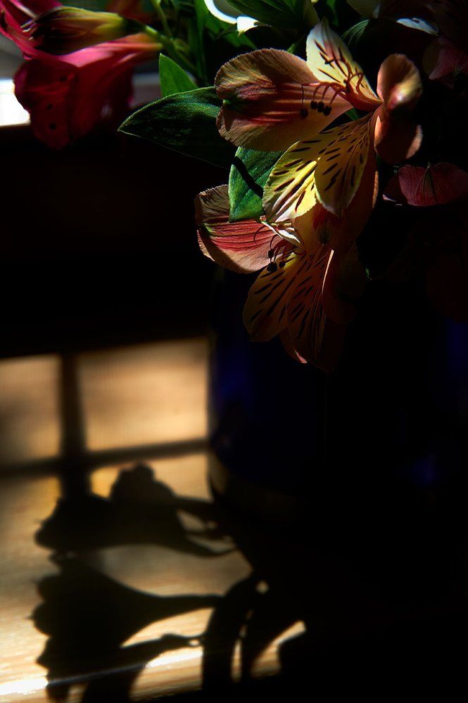 мой подоконник