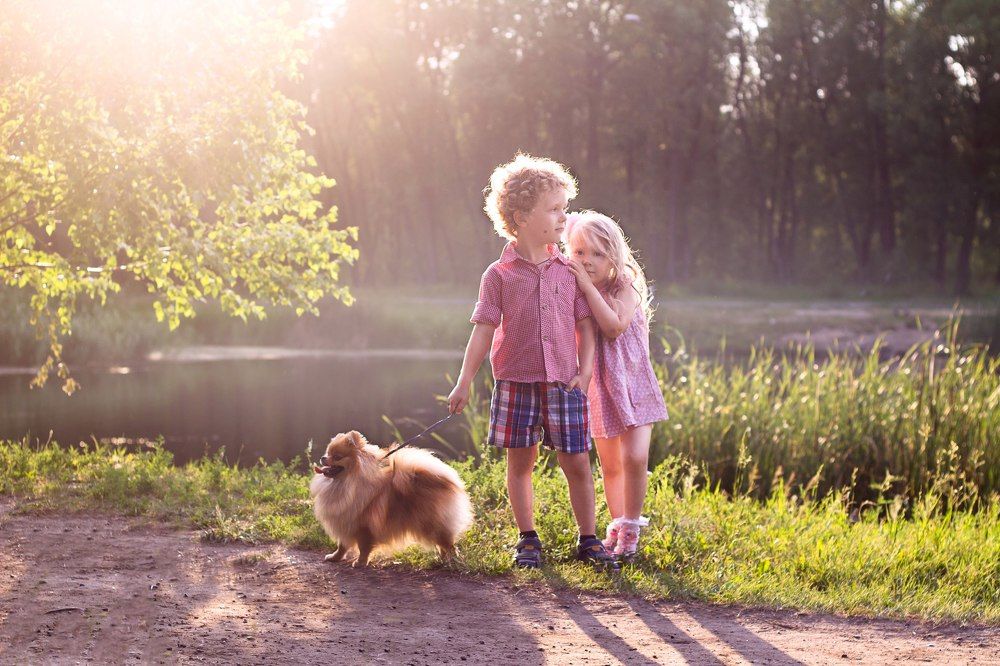 Цветы жизни