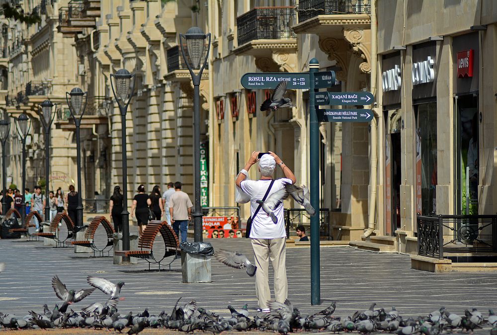 Турист и голуби