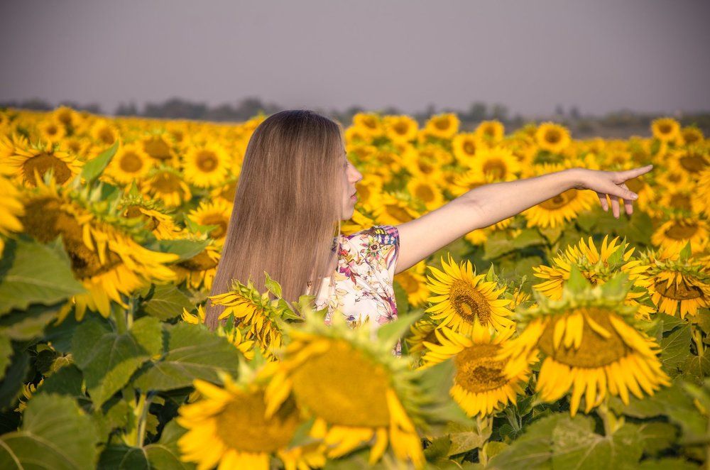 В море желтых солнц