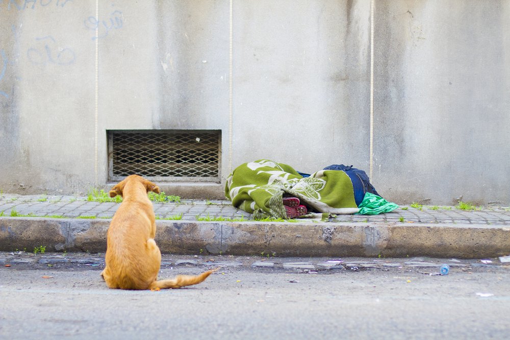 The dog see only humans but no Humanity.