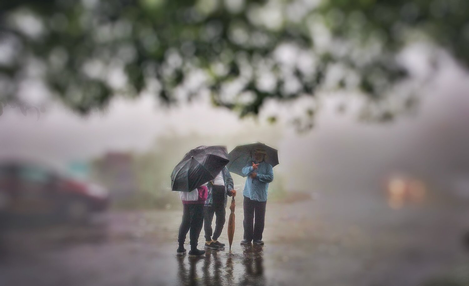 Monsoon