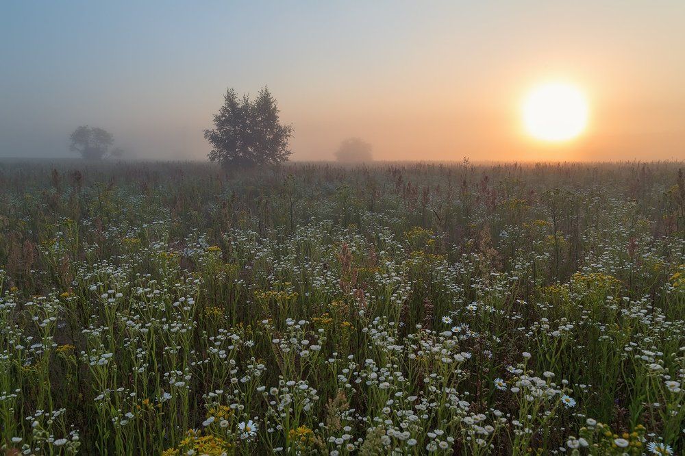 Пробуждение