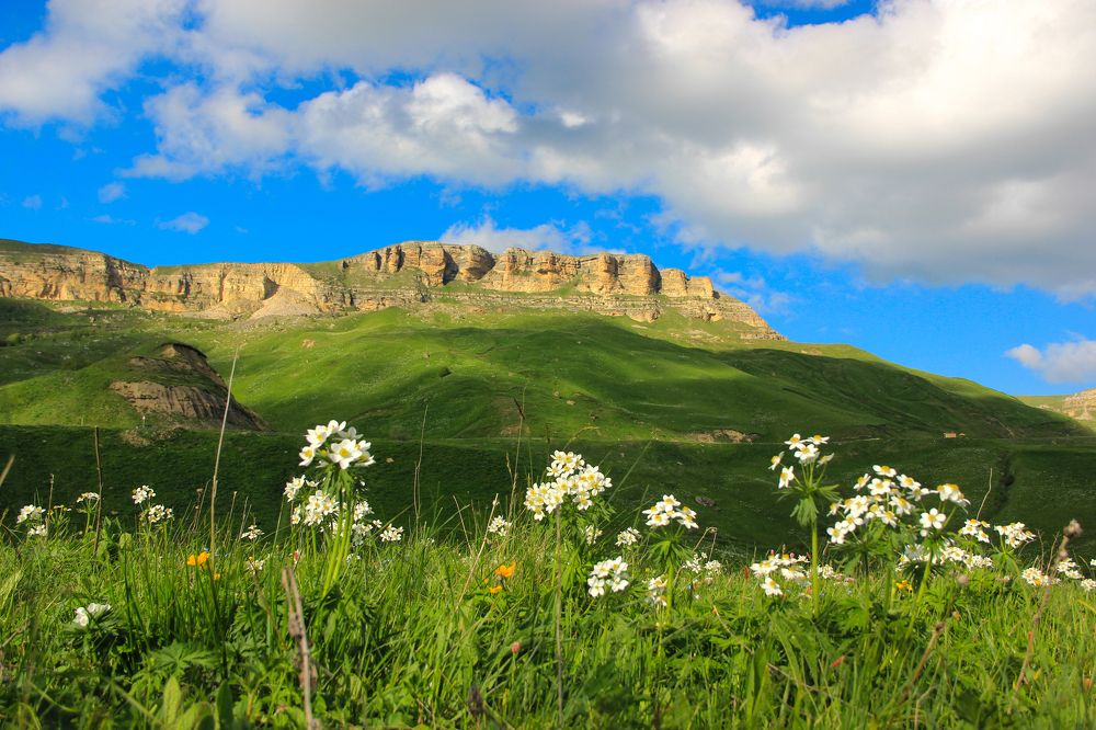 Плато Гум-Баши